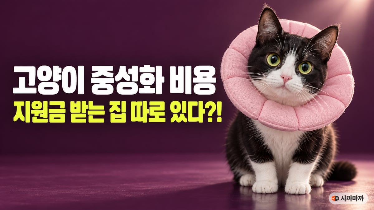 분홍 도넛형 넥카라를 한 턱시도 고양이, 고양이 중성화 비용 지원금 받는 집 따로 있다