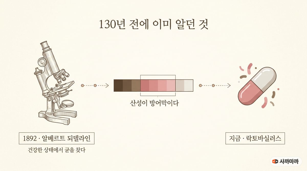1892년 되델라인의 관찰부터 현재의 락토바실러스 제품까지 이어지는 타임라인 인포그래픽