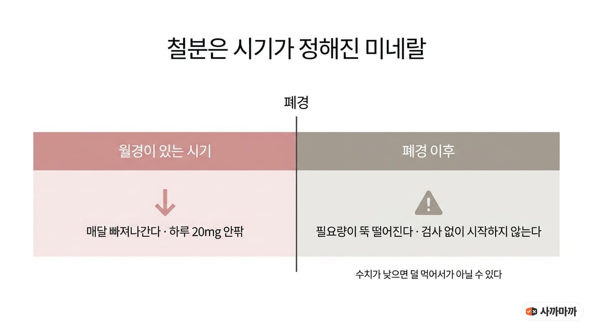 월경기와 폐경 이후 철분 필요량이 어떻게 달라지는지 보여주는 타임라인 인포그래픽