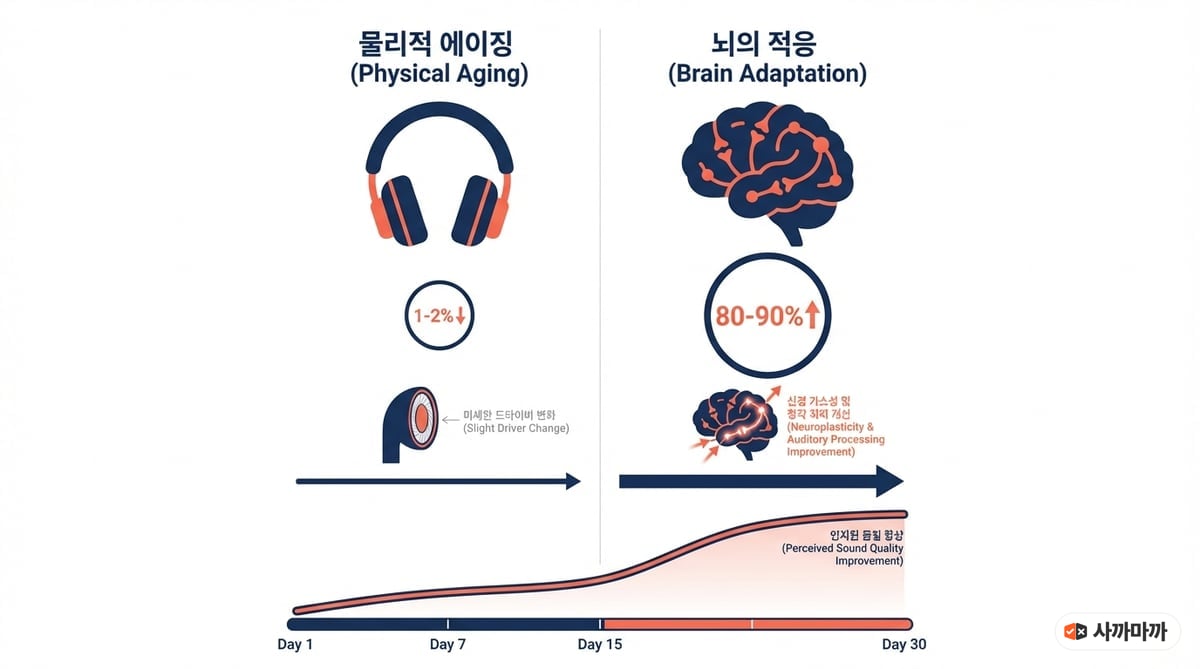 물리적 에이징과 뇌의 적응 효과 비교 인포그래픽