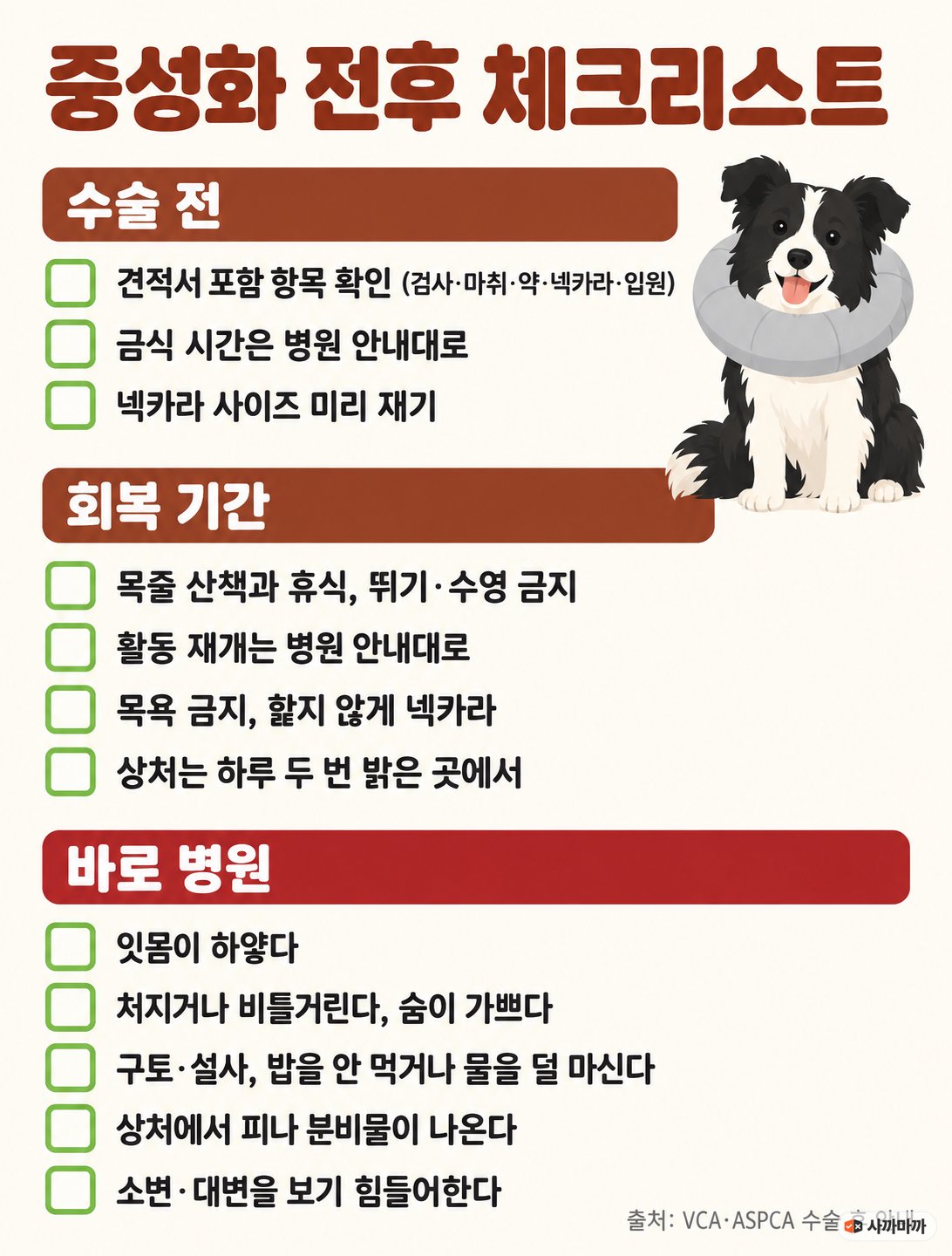 중성화 전후 체크리스트: 수술 전 견적서 포함 항목·금식·넥카라 사이즈, 회복 기간 목줄 산책과 휴식·활동 재개는 병원 안내대로·목욕 금지·상처 하루 두 번 확인, 바로 병원에 연락할 신호 다섯 가지(잇몸 창백, 처짐·숨 가쁨, 구토·설사·밥이나 물 거부, 상처 피·분비물, 배뇨·배변 곤란)