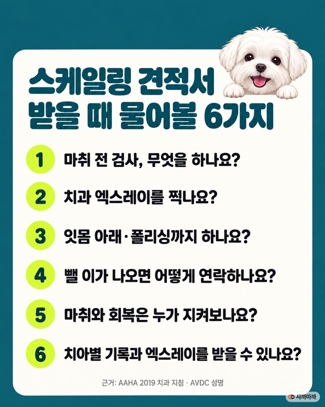스케일링 견적서 받을 때 물어볼 6가지: 마취 전 검사, 치과 엑스레이, 잇몸 아래·폴리싱, 발치 연락, 마취와 회복 관찰, 치아별 기록과 엑스레이
