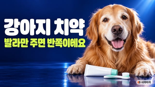 딥블루 배경에서 입을 벌리고 웃는 골든 리트리버와 흰 치약 튜브·칫솔, 강아지 치약 발라만 주면 반쪽이에요