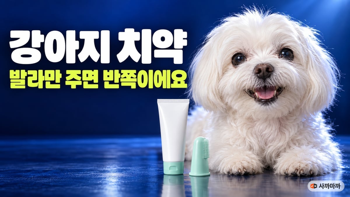 딥블루 배경에서 입을 벌리고 웃는 흰 노견 말티즈와 흰 치약 튜브·손가락 칫솔, 강아지 치약 발라만 주면 반쪽이에요