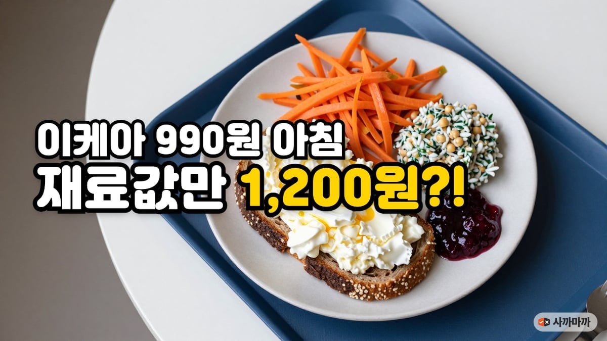 파란 트레이 위 접시에 담긴 호밀빵 흰자 스크램블 오픈 토스트와 당근라페, 곡물 샐러드, 크랜베리잼
