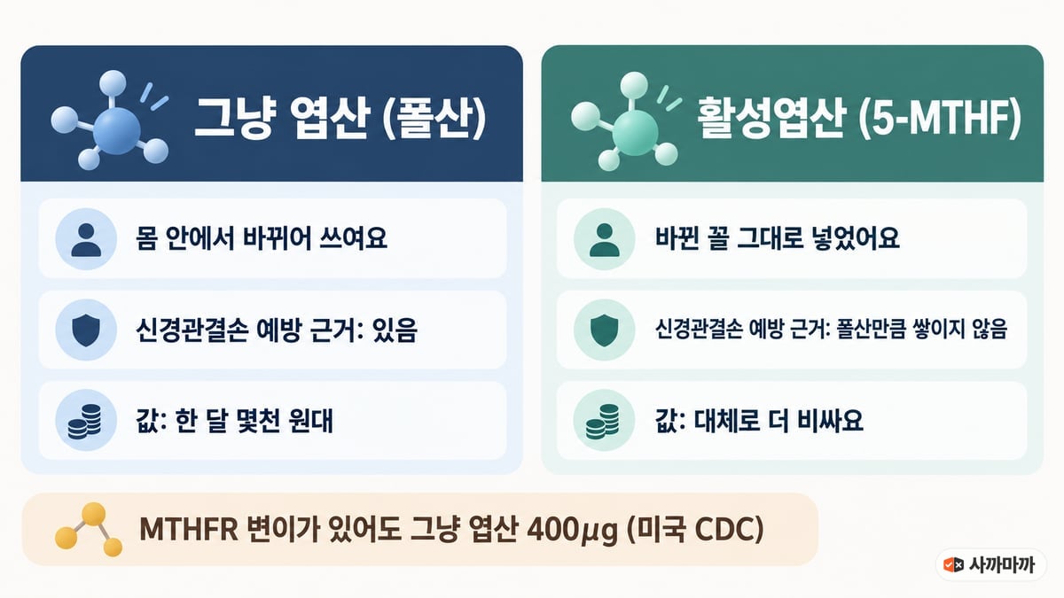 그냥 엽산(폴산)과 활성엽산(5-MTHF) 비교. 폴산은 몸 안에서 바뀌어 쓰이고 신경관결손 예방 근거가 있으며 한 달 몇천 원대. 활성엽산은 바뀐 꼴 그대로 넣었고 예방 근거는 폴산만큼 쌓이지 않았으며 대체로 더 비싸다. MTHFR 변이가 있어도 그냥 엽산 400μg(미국 CDC)