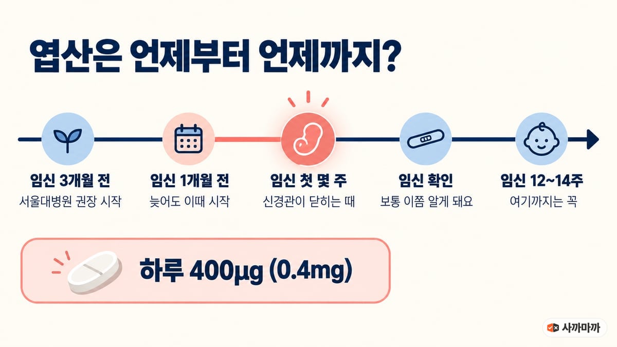 엽산 복용 시기 타임라인. 임신 3개월 전 서울대병원 권장 시작, 임신 1개월 전 늦어도 이때 시작, 임신 첫 몇 주 신경관이 닫히는 때, 임신 확인 보통 이쯤 알게 돼요, 임신 12~14주 여기까지는 꼭. 하루 400μg(0.4mg)