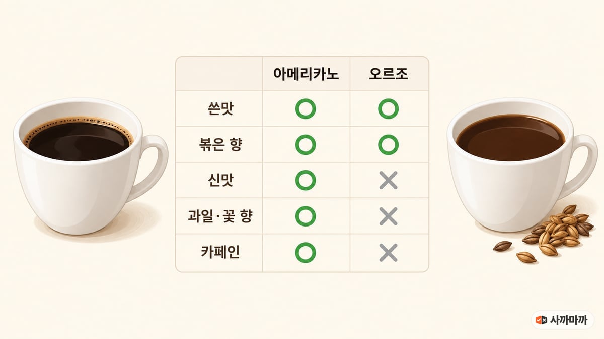 아메리카노와 오르조 맛 비교표. 쓴맛과 볶은 향은 둘 다 있음, 신맛·과일·꽃 향·카페인은 아메리카노만 있음