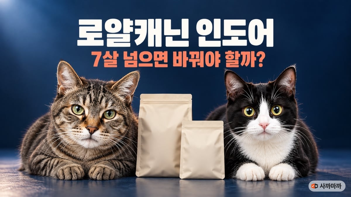 남색 배경 앞에 나란히 엎드린 노묘 고등어 태비와 어린 턱시도 고양이 사이의 사료 봉투 두 개, 로얄캐닌 인도어 7살 넘으면 바꿔야 할까