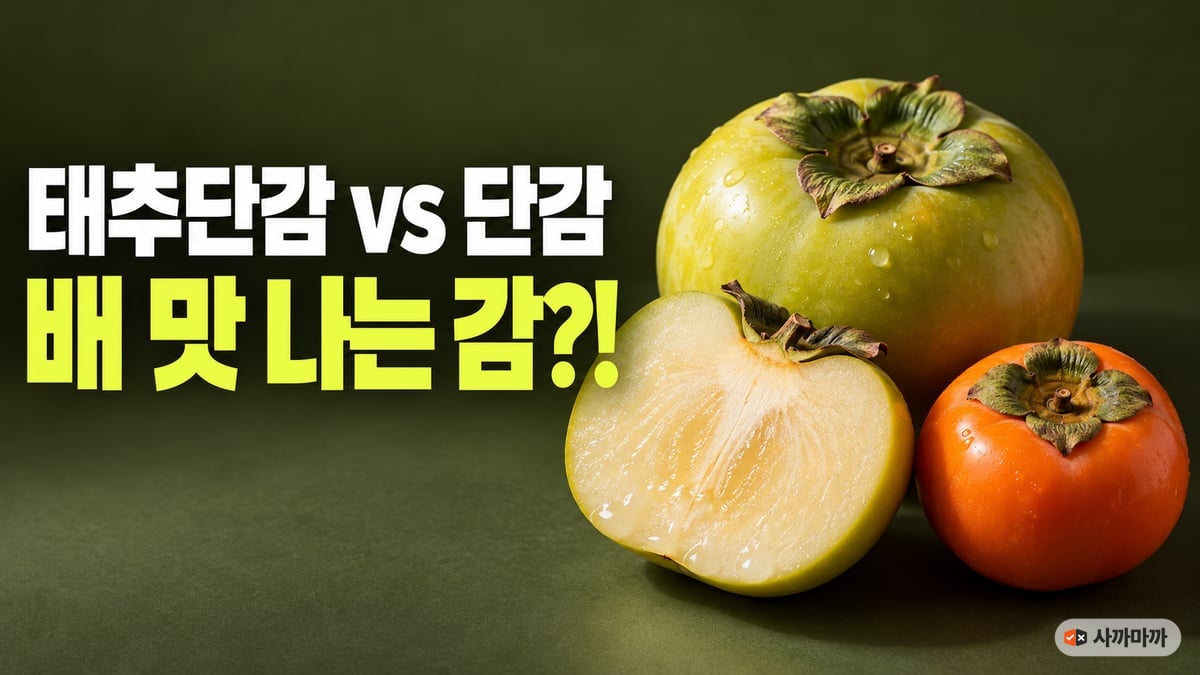 연두빛 태추단감 한 개와 반으로 자른 아삭한 단면, 진한 주황색 일반 단감을 나란히 놓고 태추단감 vs 단감, 배 맛 나는 감이라고 적은 썸네일