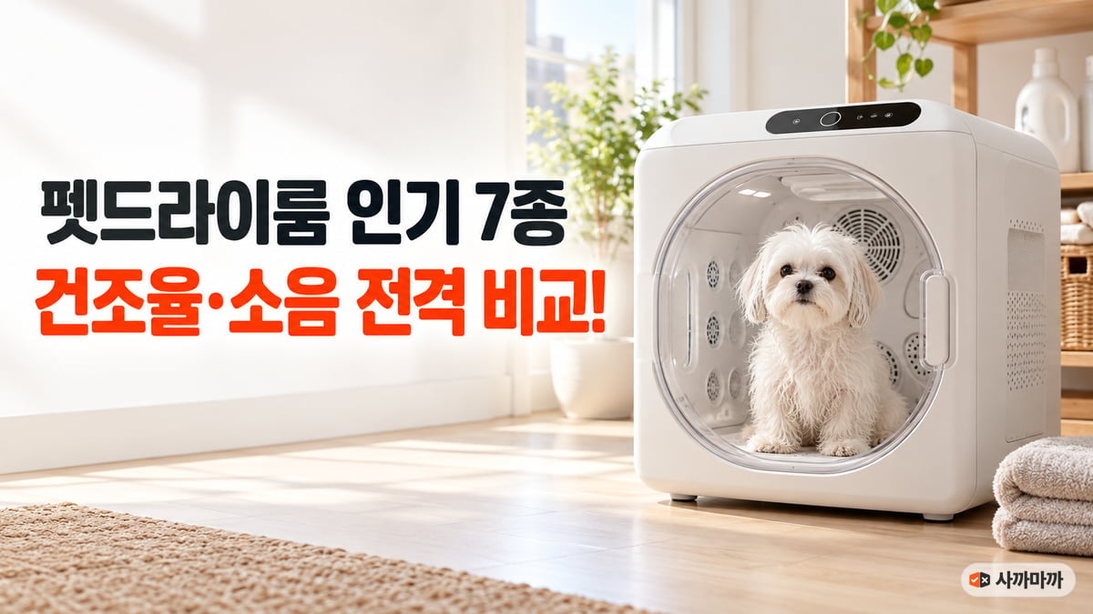 펫드라이룸 안에 흰 말티즈가 앉아 있는 썸네일, 펫드라이룸 인기 7종 건조율·소음 전격 비교
