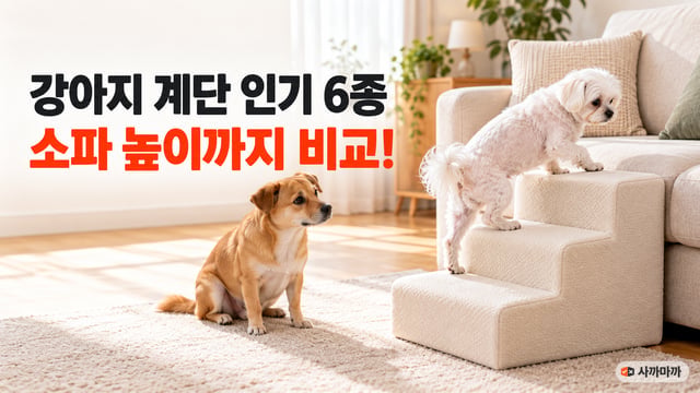 흰 말티즈가 소파 옆 강아지 계단을 오르고 갈색 믹스견이 지켜보는 썸네일, 강아지 계단 인기 6종 소파 높이까지 비교
