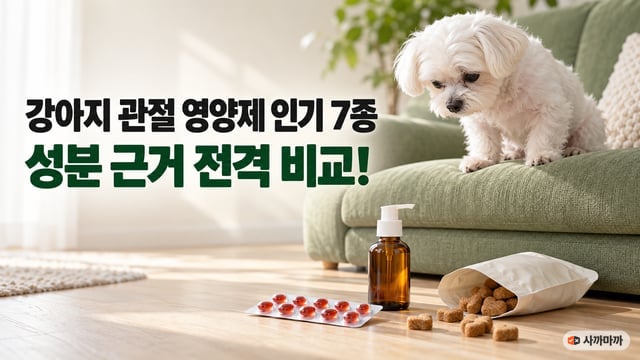 초록 소파 끝에 앉은 흰 말티즈와 바닥의 오메가3 오일·캡슐·츄어블, 강아지 관절 영양제 인기 7종 성분 근거 전격 비교