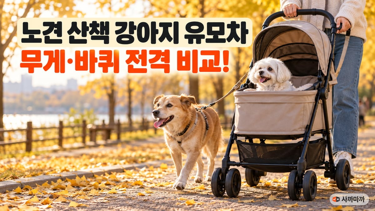가을 공원에서 말티즈를 태운 강아지 유모차와 옆에서 걷는 믹스견, 노견 산책 강아지 유모차 무게·바퀴 비교